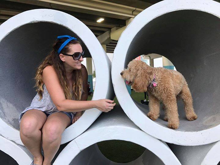 The Benefits of Dog Parks